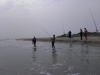 Beach Picture