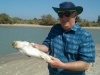 Butterfish