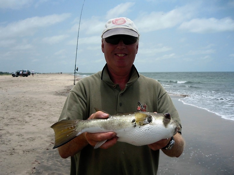 2011 Fish The Gambia